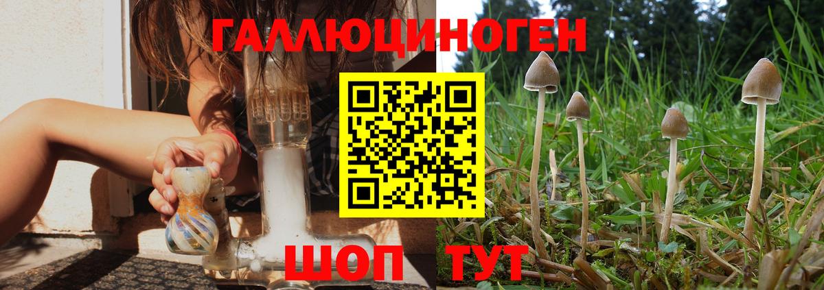 Галлюциногенные грибы мицелий Печора
